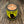 Load image into Gallery viewer, Nite Owl Premium Candle 12.5oz