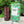 Load image into Gallery viewer, Flamin' Zombie - Fury Bros. Tiki Torchette