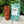 Load image into Gallery viewer, Pele's Punch - Fury Bros. Tiki Torchette